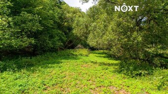 Prodej pozemek Louky, 4957㎡ - 10