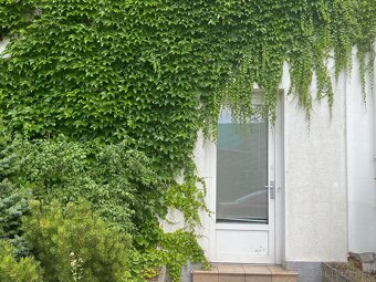 PRONÁJEM 1 + KK 55m2  v centru Holic - 10