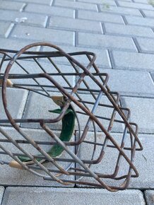 Náhubek pro psa - 10