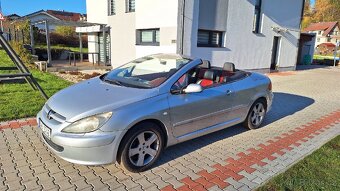 Peugot 307 cc - 10