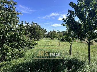 Prodej pozemku pro bydlení, 3 491 m2 - Šakvice - 10