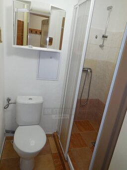Pronájem OV byt 1+kk, podlahová plocha 25 m2, ulice Vyšehrad - 10