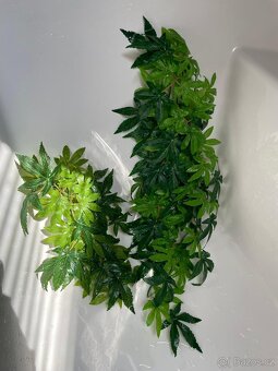 terarijní set se skříňkou - 10