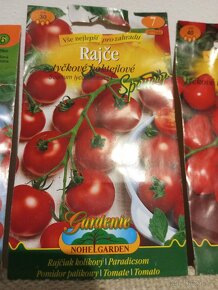 Prodám sadbu rajčat,více druhů,Kladno a okolí možno dovoz - 10