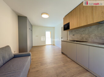 Apartmán 30 m2, balkon, Plešivec-Pstruží-Abertamy,Krušné hor - 10