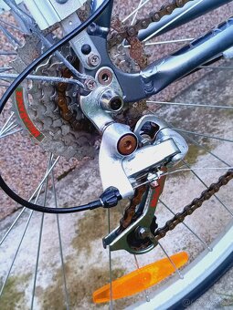 Kolo Author Legend - 10