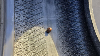 Celoroční pneu 215/55/17 Good Year - 10