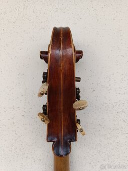 Violoncello 3/4 - 10