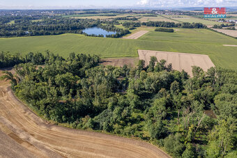 Prodej lesa, 2252 m², Horka nad Moravou - 10