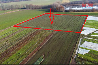 Prodej ovocného sadu, 9979 m², Nové Dvory - 10