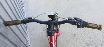 Superior 20" - 10