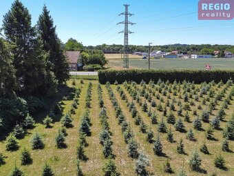 Prodej pozemku v Žabni - 10