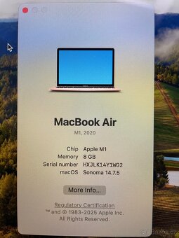 MacBook Air M1 2020 - 10