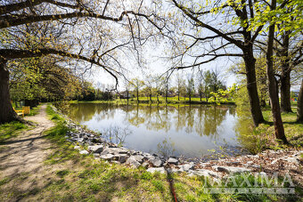 Prodej, byt 1+1, 41m2, Nové Hrady, Zahradní čtvrť - 10