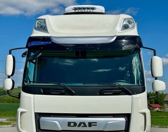 DAF CF 320 / VALNÍK S PLACHTOU / 21 PALETOVÝ / R.V 2021 - 10