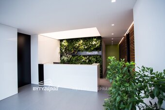 Pronájem, komerční prostory, Plzeň Slovany, ev.č. yIVO8612 - 10