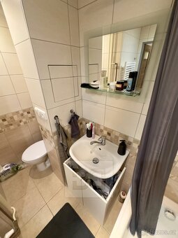 Pronájem bytu 2+1, 57 m2, Plzeňská, Praha - Košíře - 10