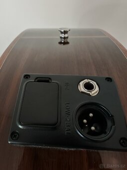 Celomasivní elektroakustická kytara - D333SCE, Pasadena - 10