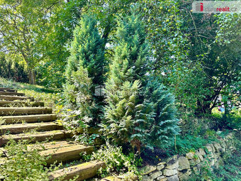 prodej srubové chaty, 50m2, s pozemkem 818m2, Slaný - 10