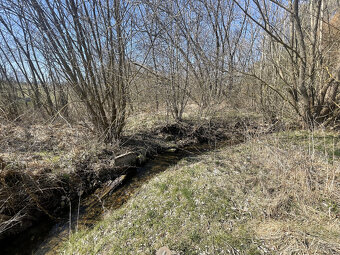 Prodej zahrady v Janovicích u Sušice 782 m2 - 10