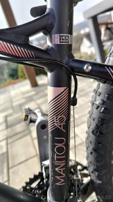 Apache Manitou A5 Lady - 10