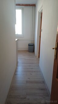 Pronájem bytu 2+1  Na Radouči Mladá Boleslav - 10