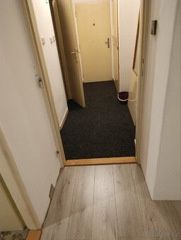 Pronájem bytu 2+1 - 10