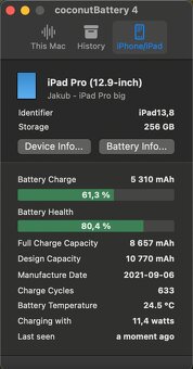 iPad Pro 12,9", 256 GB, M1, Space Grey, Wi-Fi - 10