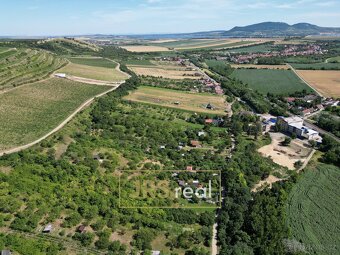 Prodej pozemku - zahrady, 1 698 m2 - Pouzdřany - 10