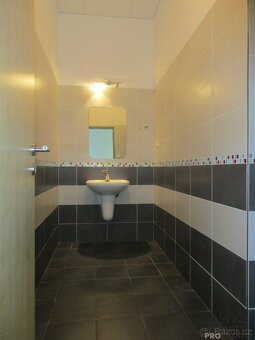 Pronájem nebytových prostor ve Veselí nad Moravou - 10