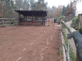 Nabízíme pastevní ustájení koní 10km od Plzně ve Smědčicích - 10