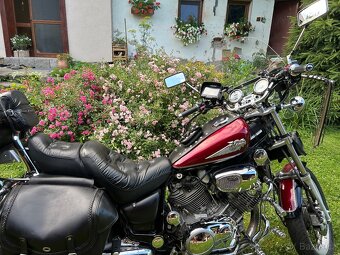 Prodám Yamaha Virago 1100 - 10