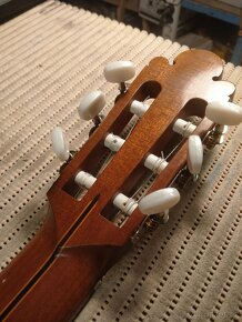 Celomasivni klasicka kytara - 10