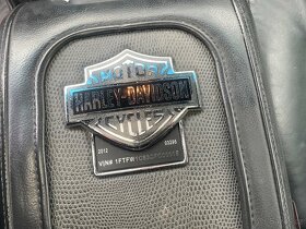 Ford F150 Harley Davidson - 10