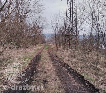 Soubor pozemků, 7 484 m2 , obec Sušice, okr. Klatovy - 10