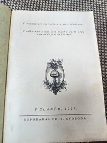 HOSTINSKY PAMATNIK Z ROKU 1927 - 10