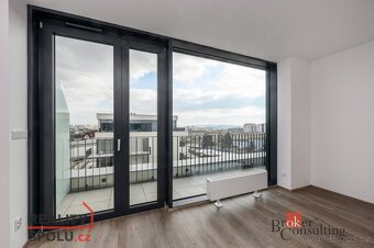 Pronájem, byty/1+kk, 44 m2, Železná 3061/10, Jižní Předměstí - 10