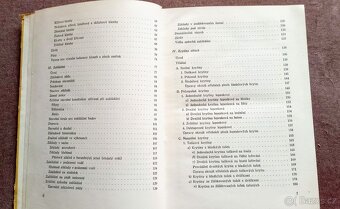 Stavitelství I. a III. díl - 10