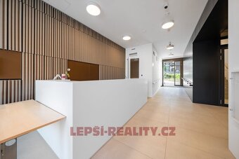 Nadstandartní byt 1+kk s balkonem na dobu 6 měsíců a více - 10