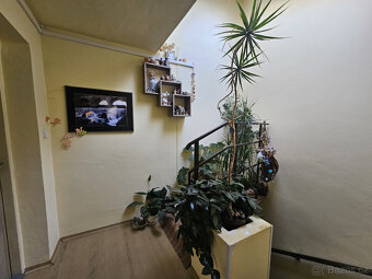Prodej rodinného domu , pozemek 360 m² - 1111 - 10