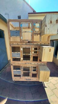 Bednove klece - 10