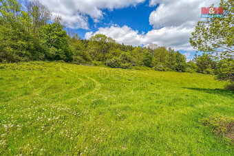 Prodej pozemku k bydlení, 10400 m², Sušice - 10