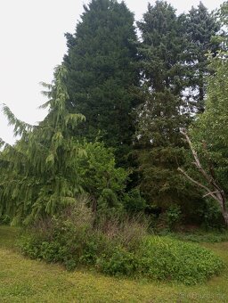 Rodinný dům s velkou 6340 m2 oplocenou zahradou - 10