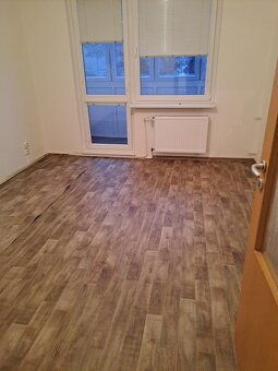 Pronájem bytu 2+1 - 10