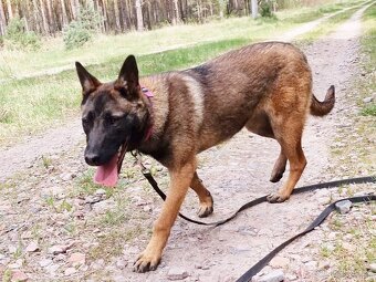 FREYA K ADOPCI - dokonalá parťačka - 10
