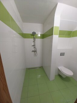Dům vhodný k rekreaci i bydlení - 10
