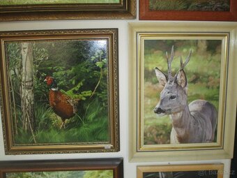 obrazy pro myslivce-bažant-tetřev-jelen-olejomalba - 10