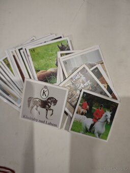 Knihy o koních - 10