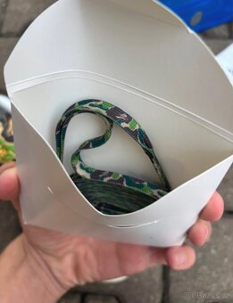 Adidas Stan smith x bape Abc camo - 10