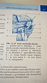 Učebnice FUNKČNÍ ANATOMIE - Ivan Dylevský - 10